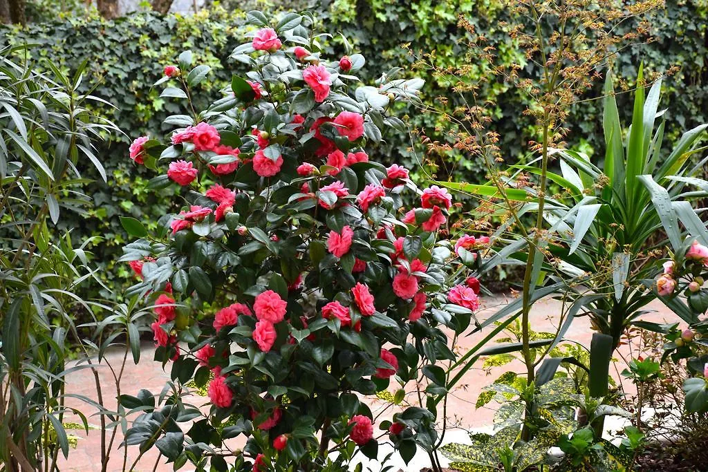 Apartment Appartamenti Leonardo Rho Italy